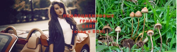 прущий лед Белоозёрский