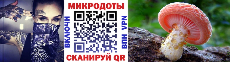 Псилоцибиновые грибы Cubensis  Гатчина 